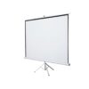Tripod Projection Screen 240cm by 240cm